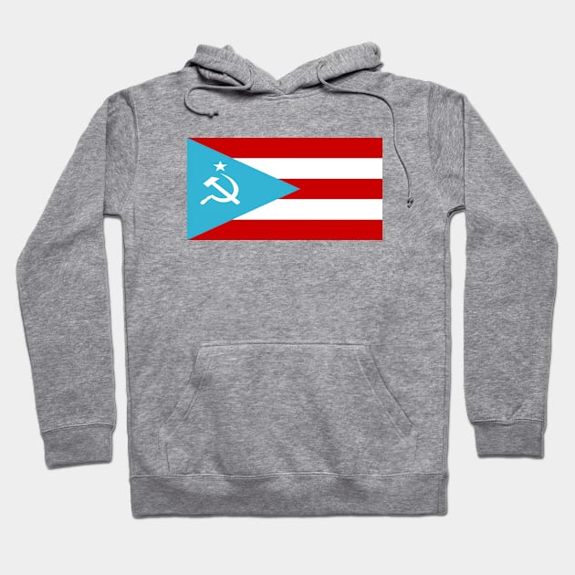 Democratic Peoples Republic of Independent Puerto Rico Flag 2ND Variation Hoodie by RevolutionToday